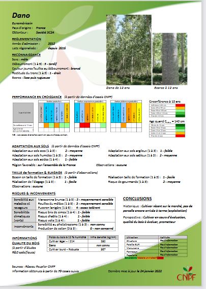 Cultivars : 12 nouvelles fiches